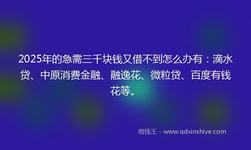 2025年的急需三千块钱又借不到怎么办有：滴水贷、中原消费金融、融逸花、微粒贷、百度有钱花等。