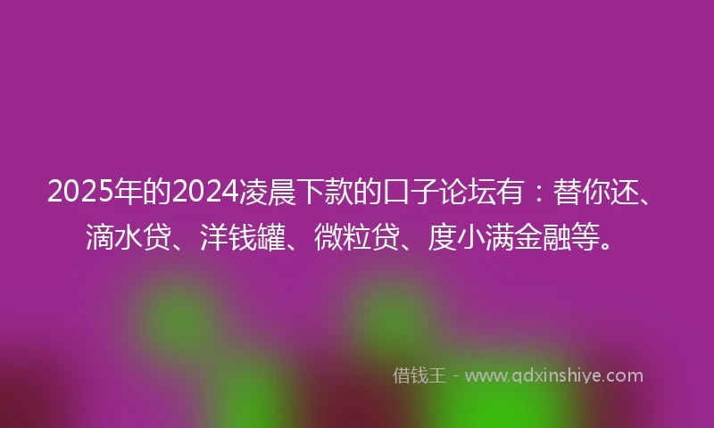 2025年的2024凌晨下款的口子论坛有：替你还、滴水贷、洋钱罐、微粒贷、度小满金融等。