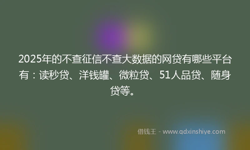 2025年的不查征信不查大数据的网贷有哪些平台有：读秒贷、洋钱罐、微粒贷、51人品贷、随身贷等。