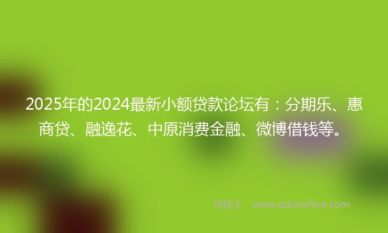 2025年的2024最新小额贷款论坛有：分期乐、惠商贷、融逸花、中原消费金融、微博借钱等。