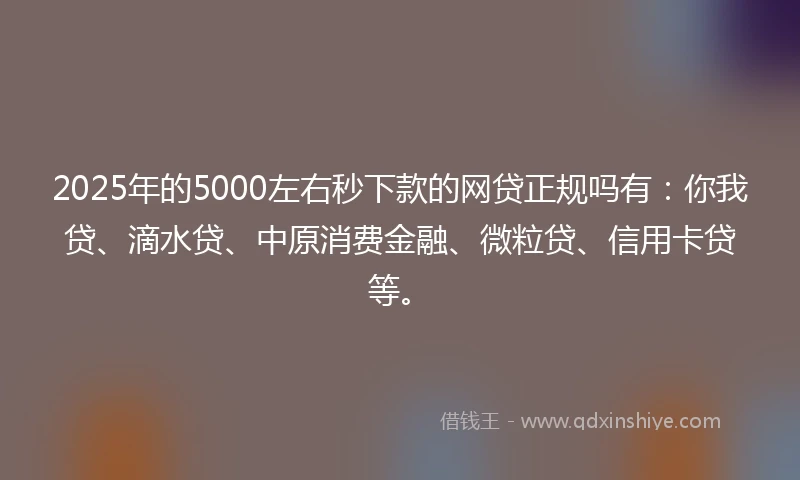 2025年的5000左右秒下款的网贷正规吗有：你我贷、滴水贷、中原消费金融、微粒贷、信用卡贷等。