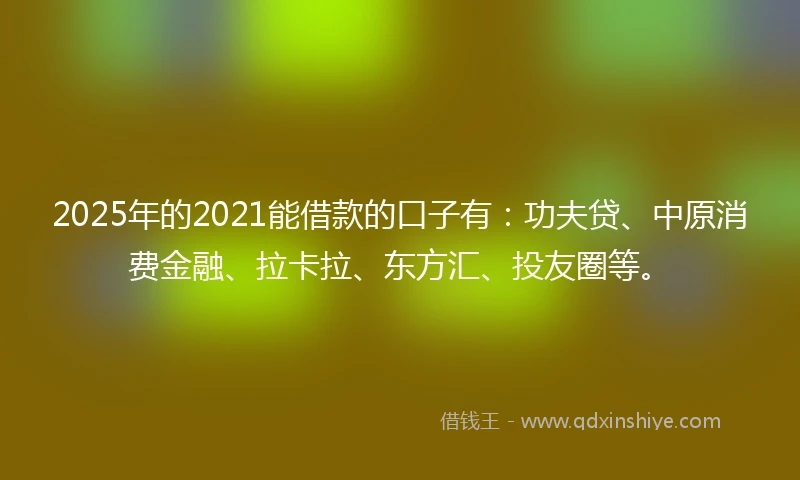 2025年的2021能借款的口子有：功夫贷、中原消费金融、拉卡拉、东方汇、投友圈等。