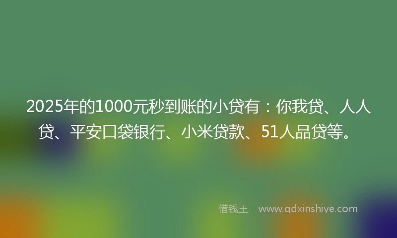 2025年的1000元秒到账的小贷有：你我贷、人人贷、平安口袋银行、小米贷款、51人品贷等。
