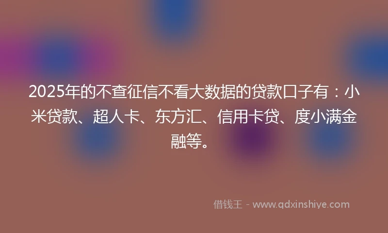 2025年的不查征信不看大数据的贷款口子有：小米贷款、超人卡、东方汇、信用卡贷、度小满金融等。