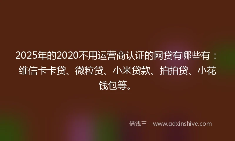 2025年的2020不用运营商认证的网贷有哪些有：维信卡卡贷、微粒贷、小米贷款、拍拍贷、小花钱包等。