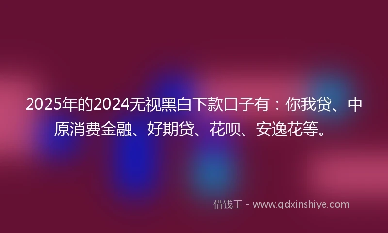2025年的2024无视黑白下款口子有：你我贷、中原消费金融、好期贷、花呗、安逸花等。