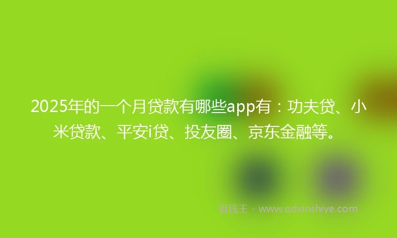 2025年的一个月贷款有哪些app有：功夫贷、小米贷款、平安i贷、投友圈、京东金融等。