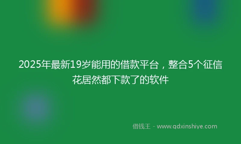 2025年最新19岁能用的借款平台，整合5个征信花居然都下款了的软件