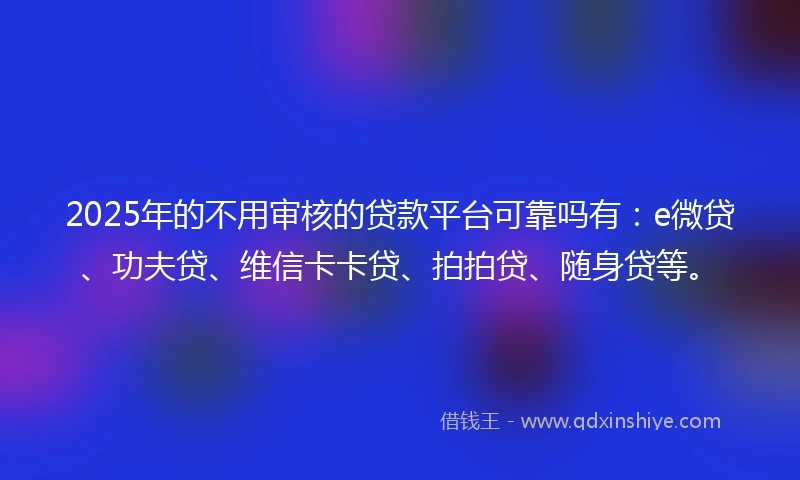 2025年的不用审核的贷款平台可靠吗有：e微贷、功夫贷、维信卡卡贷、拍拍贷、随身贷等。
