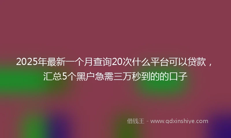 2025年最新一个月查询20次什么平台可以贷款，汇总5个黑户急需三万秒到的的口子