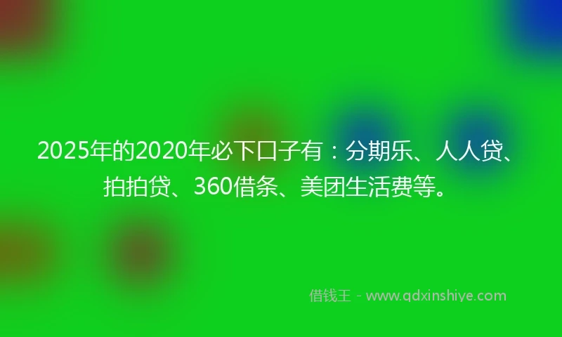 2025年的2020年必下口子有：分期乐、人人贷、拍拍贷、360借条、美团生活费等。