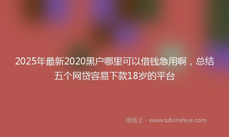 2025年最新2020黑户哪里可以借钱急用啊，总结五个网贷容易下款18岁的平台