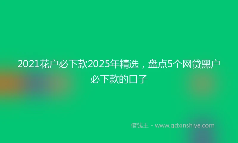 2021花户必下款2025年精选，盘点5个网贷黑户必下款的口子