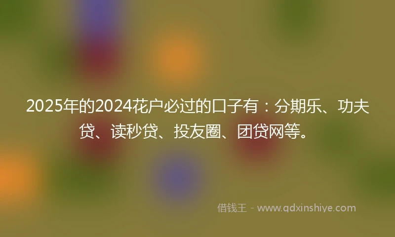2025年的2024花户必过的口子有：分期乐、功夫贷、读秒贷、投友圈、团贷网等。