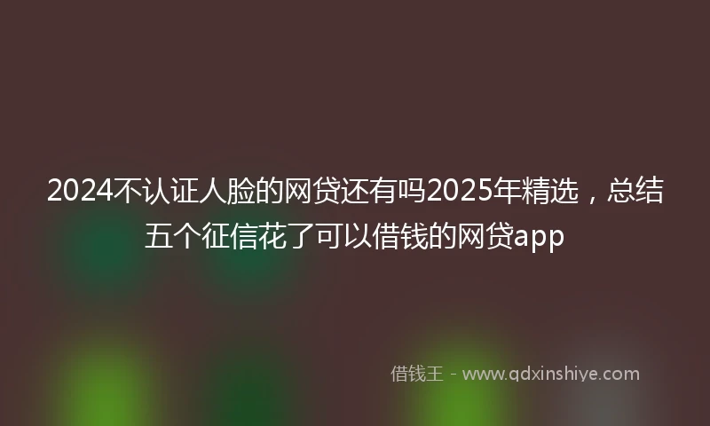 2024不认证人脸的网贷还有吗2025年精选，总结五个征信花了可以借钱的网贷app