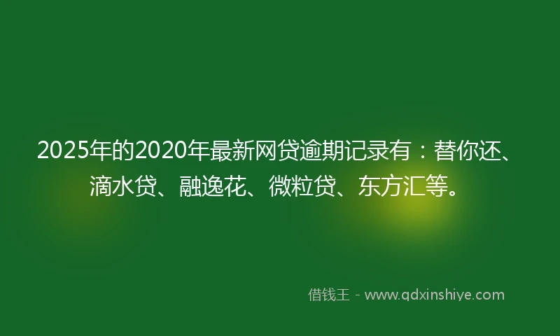 2025年的2020年最新网贷逾期记录有：替你还、滴水贷、融逸花、微粒贷、东方汇等。