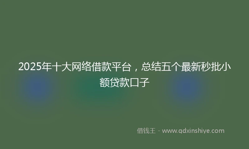 2025年十大网络借款平台，总结五个最新秒批小额贷款口子