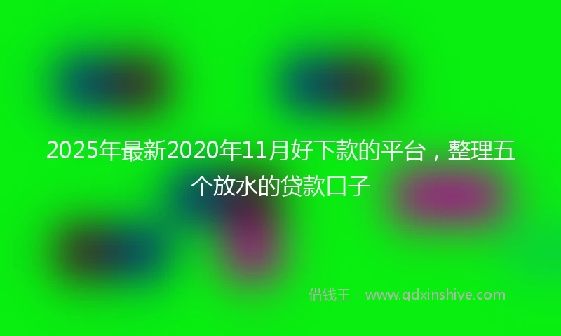 2025年最新2020年11月好下款的平台，整理五个放水的贷款口子