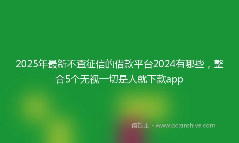 2025年最新不查征信的借款平台2024有哪些，整合5个无视一切是人就下款app