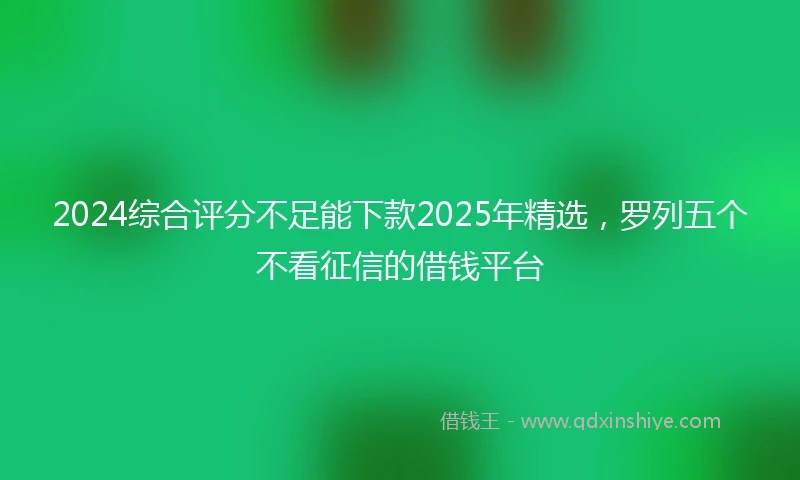 2024综合评分不足能下款2025年精选，罗列五个不看征信的借钱平台