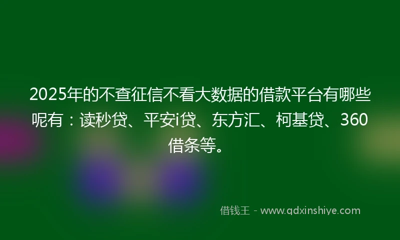 2025年的不查征信不看大数据的借款平台有哪些呢有：读秒贷、平安i贷、东方汇、柯基贷、360借条等。