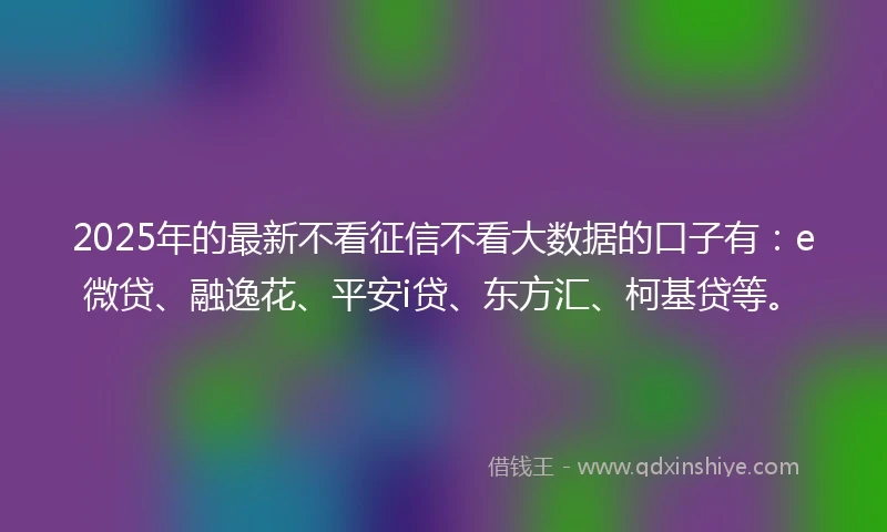 2025年的最新不看征信不看大数据的口子有：e微贷、融逸花、平安i贷、东方汇、柯基贷等。