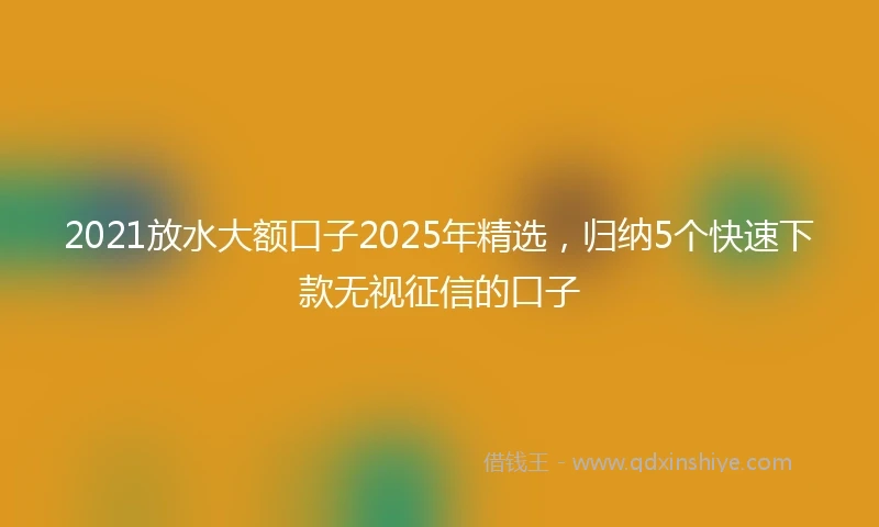 2021放水大额口子2025年精选，归纳5个快速下款无视征信的口子