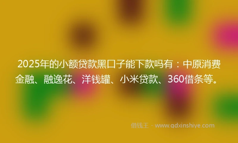 2025年的小额贷款黑口子能下款吗有：中原消费金融、融逸花、洋钱罐、小米贷款、360借条等。