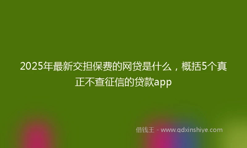 2025年最新交担保费的网贷是什么，概括5个真正不查征信的贷款app