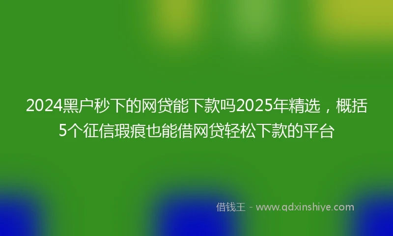 2024黑户秒下的网贷能下款吗2025年精选，概括5个征信瑕疵也能借网贷轻松下款的平台