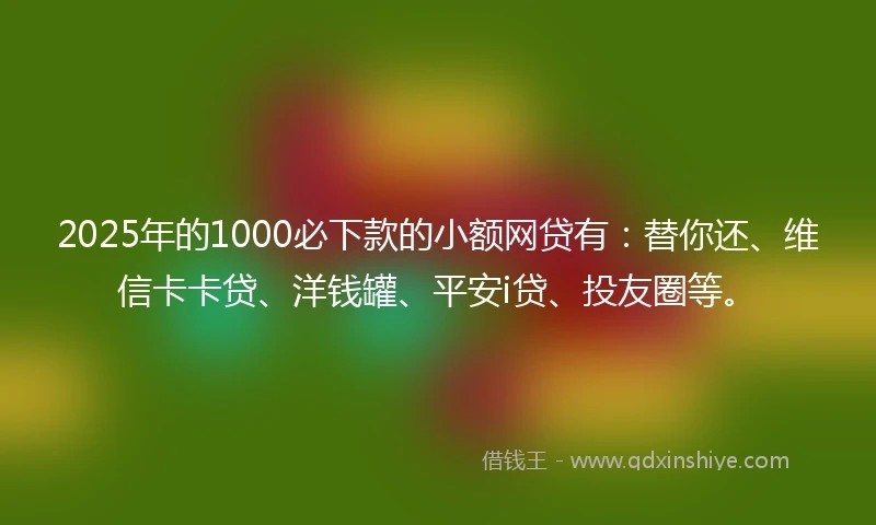 2025年的1000必下款的小额网贷有：替你还、维信卡卡贷、洋钱罐、平安i贷、投友圈等。