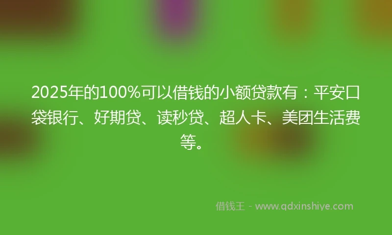 2025年的100%可以借钱的小额贷款有：平安口袋银行、好期贷、读秒贷、超人卡、美团生活费等。