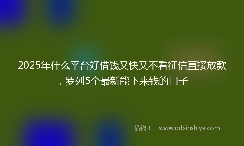 2025年什么平台好借钱又快又不看征信直接放款，罗列5个最新能下来钱的口子