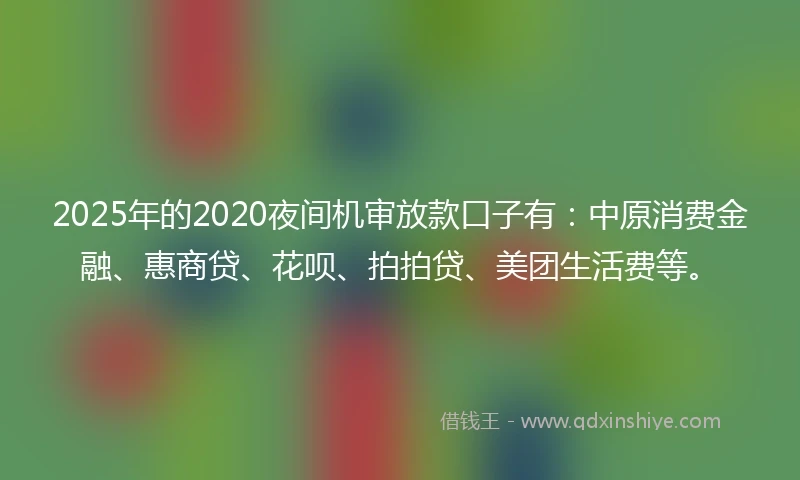 2025年的2020夜间机审放款口子有：中原消费金融、惠商贷、花呗、拍拍贷、美团生活费等。