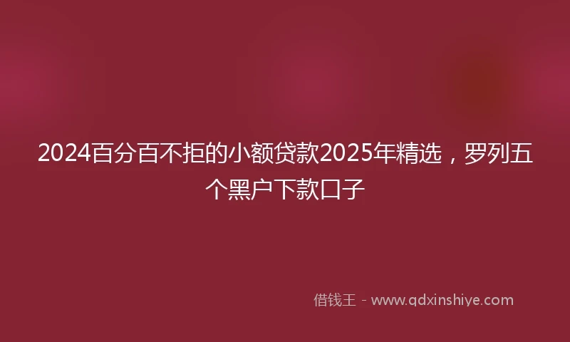 2024百分百不拒的小额贷款2025年精选，罗列五个黑户下款口子