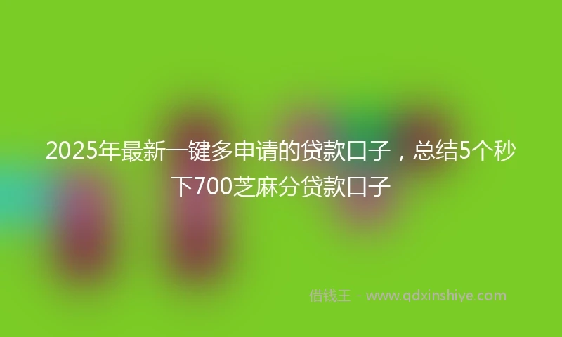 2025年最新一键多申请的贷款口子，总结5个秒下700芝麻分贷款口子