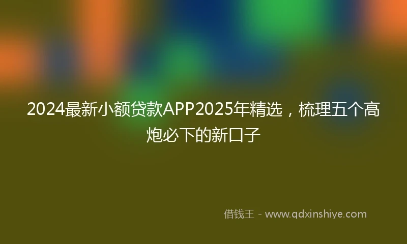 2024最新小额贷款APP2025年精选，梳理五个高炮必下的新口子