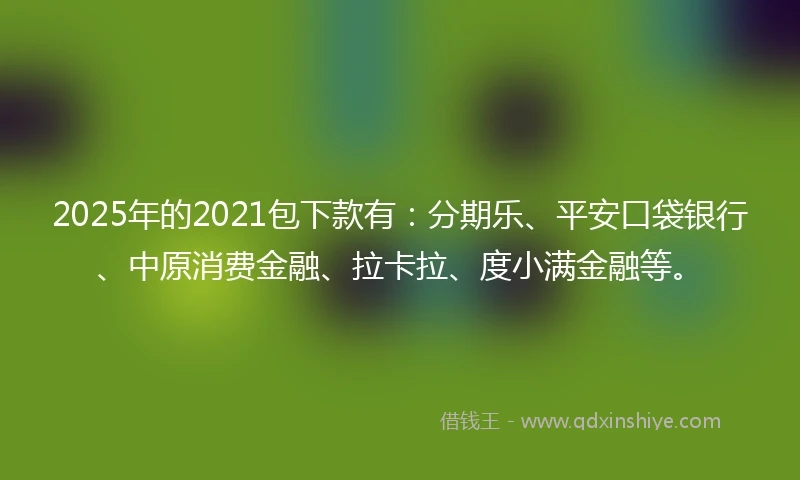 2025年的2021包下款有：分期乐、平安口袋银行、中原消费金融、拉卡拉、度小满金融等。