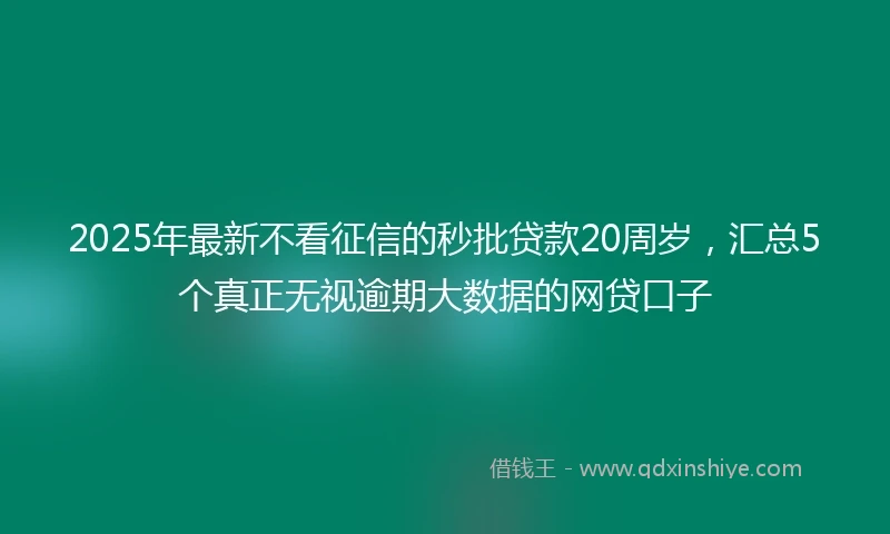 2025年最新不看征信的秒批贷款20周岁，汇总5个真正无视逾期大数据的网贷口子