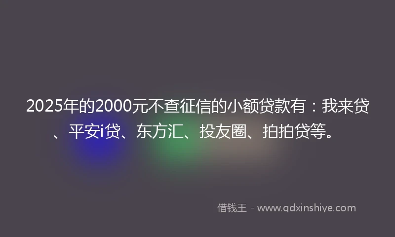 2025年的2000元不查征信的小额贷款有：我来贷、平安i贷、东方汇、投友圈、拍拍贷等。