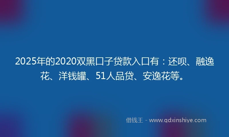 2025年的2020双黑口子贷款入口有：还呗、融逸花、洋钱罐、51人品贷、安逸花等。
