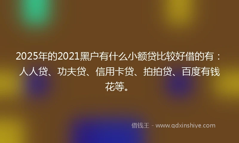 2025年的2021黑户有什么小额贷比较好借的有：人人贷、功夫贷、信用卡贷、拍拍贷、百度有钱花等。