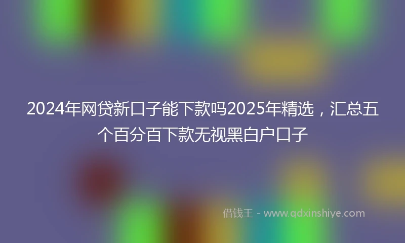 2024年网贷新口子能下款吗2025年精选，汇总五个百分百下款无视黑白户口子