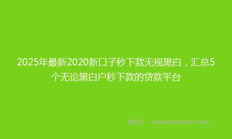 2025年最新2020新口子秒下款无视黑白，汇总5个无论黑白户秒下款的贷款平台