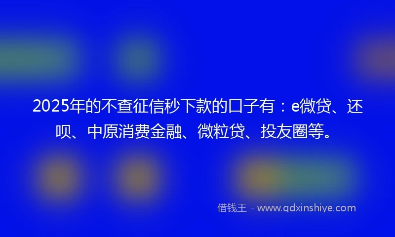 2025年的不查征信秒下款的口子有：e微贷、还呗、中原消费金融、微粒贷、投友圈等。