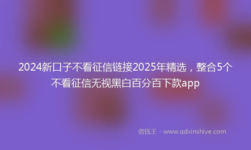 2024新口子不看征信链接2025年精选，整合5个不看征信无视黑白百分百下款app