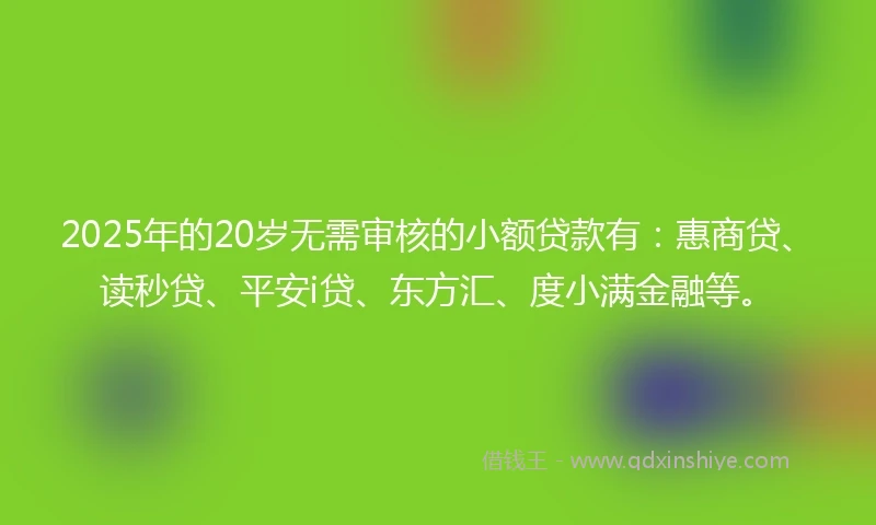 2025年的20岁无需审核的小额贷款有：惠商贷、读秒贷、平安i贷、东方汇、度小满金融等。