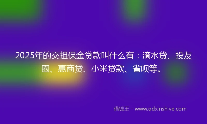 2025年的交担保金贷款叫什么有：滴水贷、投友圈、惠商贷、小米贷款、省呗等。
