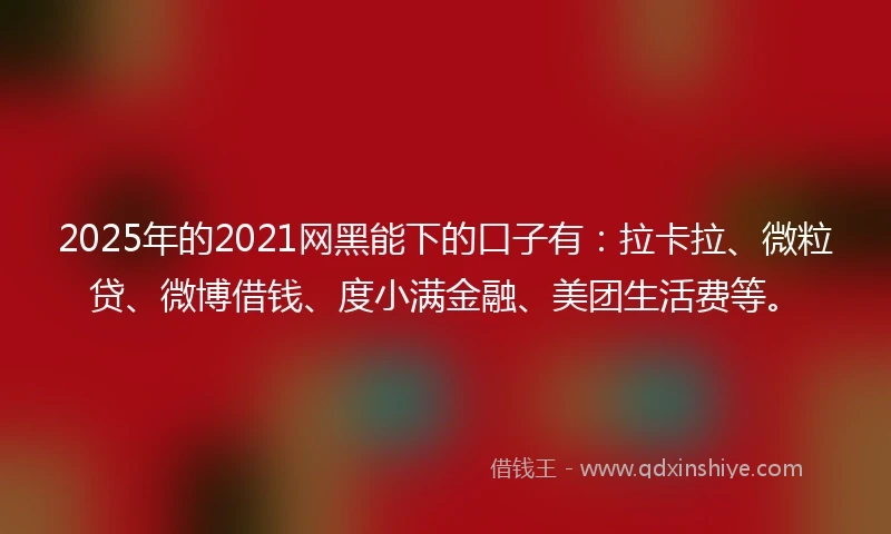 2025年的2021网黑能下的口子有：拉卡拉、微粒贷、微博借钱、度小满金融、美团生活费等。