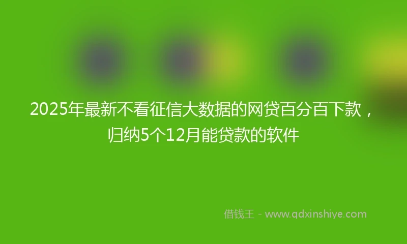 2025年最新不看征信大数据的网贷百分百下款，归纳5个12月能贷款的软件
